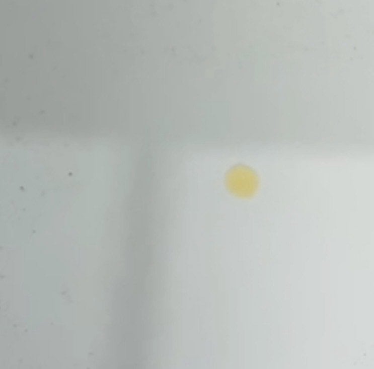 Pollen glue